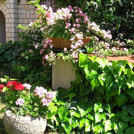 Guest House Caterina 포레치 외부 사진